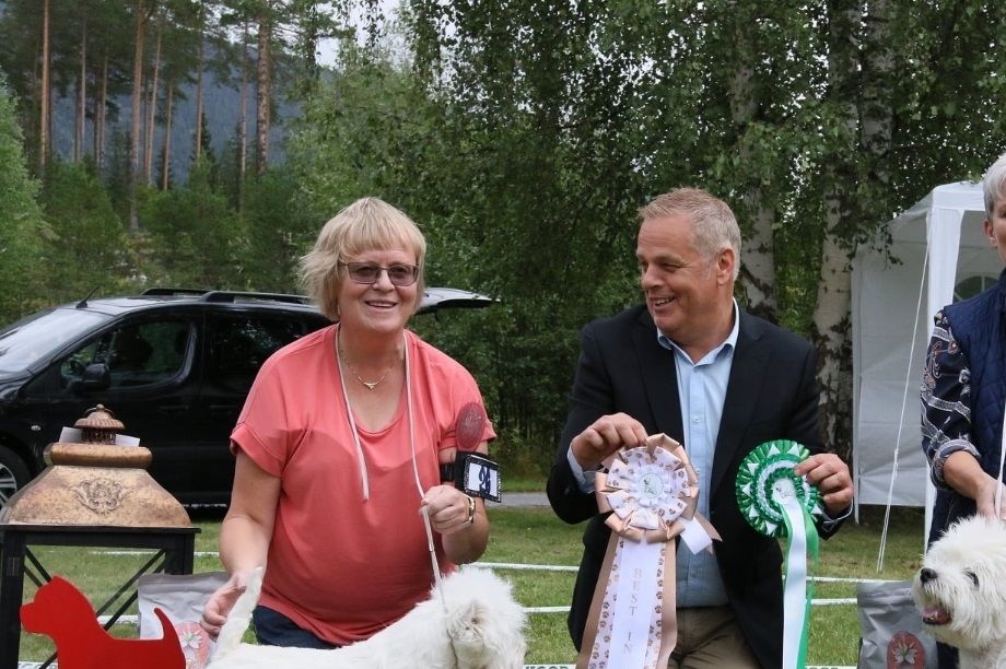 BIS t.v. N SE FI UCH SE V-19 WENRICK'S PRUDENCE (Alice) og BIM & BIS VETERAN t.h, INT NORD UCH WENRICK'S FERNANDO (Billy) som eies av Torunn Lorentzen, handler på bildet er Hilde Gullaksen. Dommer var Trond Storsveen.